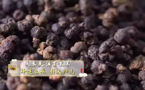 消化道有火,胃脹、口臭、便秘!學會對症祛火,遠離消化道煩惱!