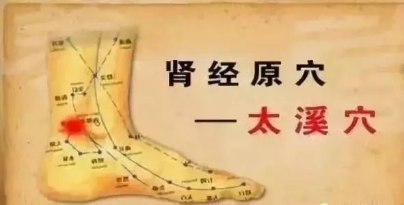 冬日進補是長盛不衰的話題,進補方式也是多種多樣!