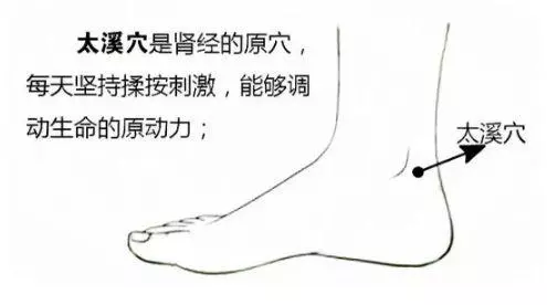 冬日進補是長盛不衰的話題,進補方式也是多種多樣!