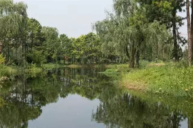 烏鎮首家全球奢華酒店——阿麗拉·烏鎮