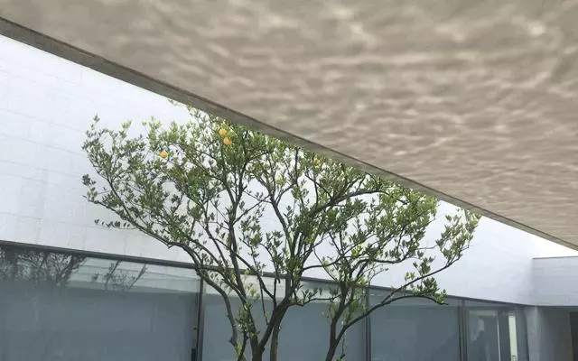 烏鎮首家全球奢華酒店——阿麗拉·烏鎮