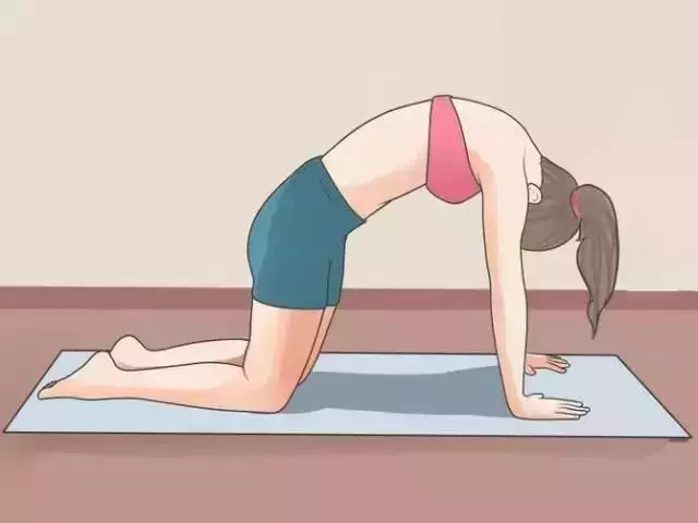 【拉伸背部,保護脊柱】