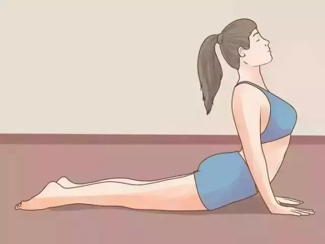 【拉伸背部,保護脊柱】
