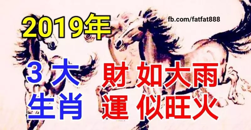 2019年,恭喜3大生肖,財如大雨,運似旺火