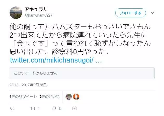倉鼠身上「2顆怪怪的東西」太巨大 飼主急找獸醫卻被告知爆笑答案