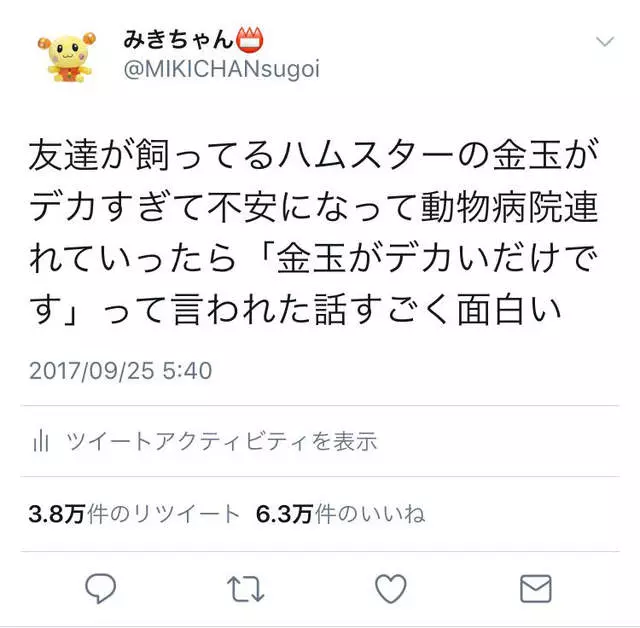 倉鼠身上「2顆怪怪的東西」太巨大 飼主急找獸醫卻被告知爆笑答案