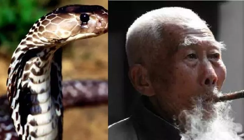 老人救了一條蛇,蛇告訴他會窮三代,老人靈機一動,子孫不缺錢花
