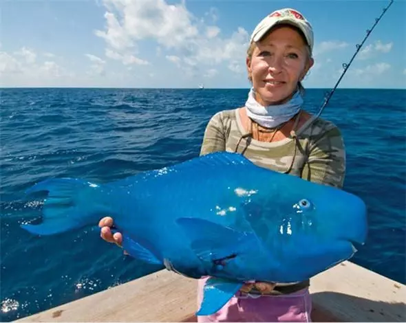 「來自地獄的蛇」「通體湛藍的魚」 這些神奇動物你見過嗎?(各種奇特生物大盤點)