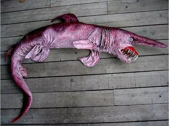「來自地獄的蛇」「通體湛藍的魚」 這些神奇動物你見過嗎?(各種奇特生物大盤點)