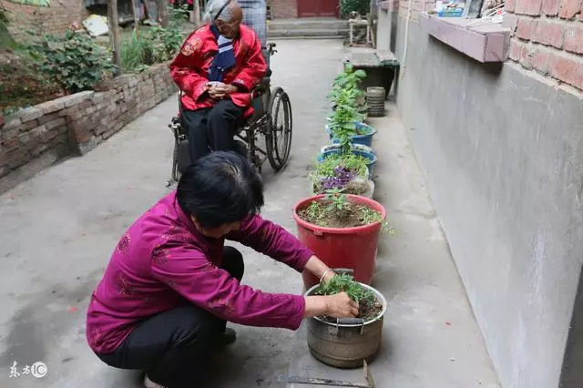 我主動要求贍養智障婆婆三年,無意中看到條簡訊,氣得把家給砸了