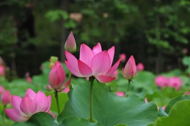 婆婆說誰生的孩子誰養,我沒責任養,幾年後我把這話送給她!
