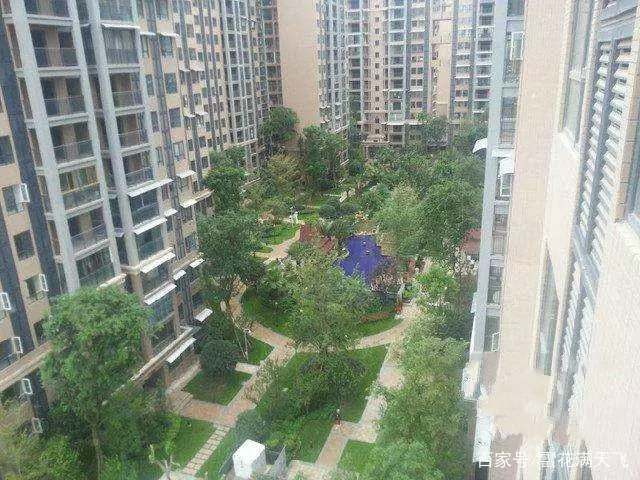 我月薪三千妻子提離婚,五年後我月薪兩萬,前妻卻提出復婚