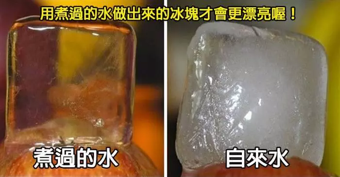 33個你以前一定不知道的【廚房冷知識】 原來在廚房裡也有那麼多學問