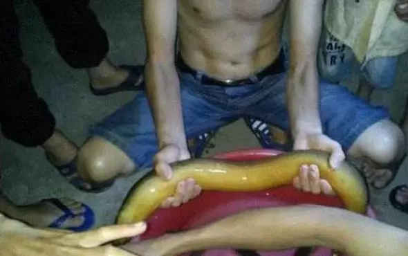 男子承包魚塘,在裡邊發現30年「魚王」!土豪用天價將其買下