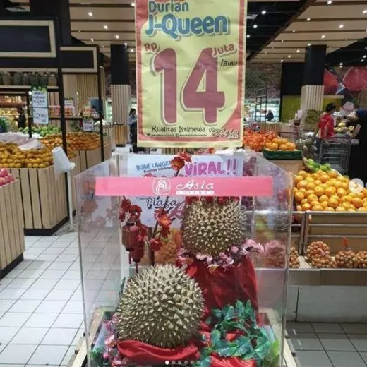 名為「J-Queen」的榴槤,一個錢要價4073令吉!