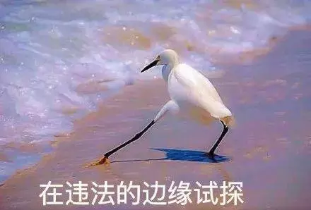 入境獅城帶肉乾被判了坐牢2年!給你2019最新最全的入境指南!