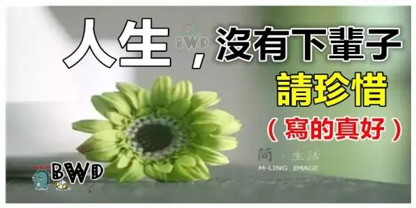 人生,沒有下輩子,請珍惜(寫的真好)