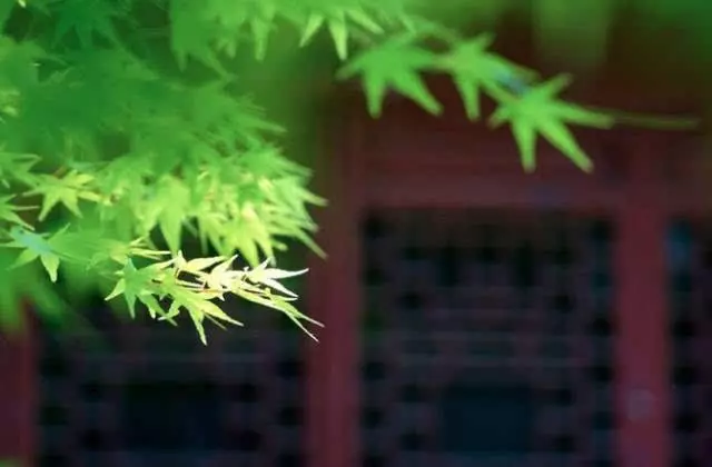 傳承千年的六大智慧,宛如心燈,照亮人生!