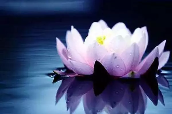 為別人點亮一盞溫暖心靈的燈,同樣也會照亮自己的路。