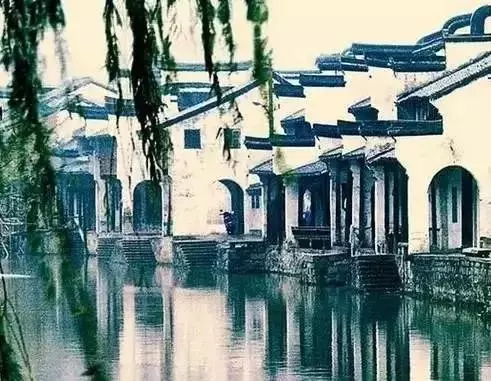 彎下腰,拾起你無價的尊嚴(深度好文)