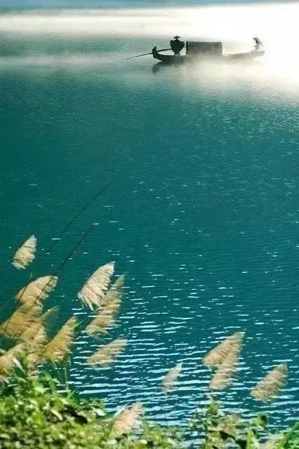 彎下腰,拾起你無價的尊嚴(深度好文)
