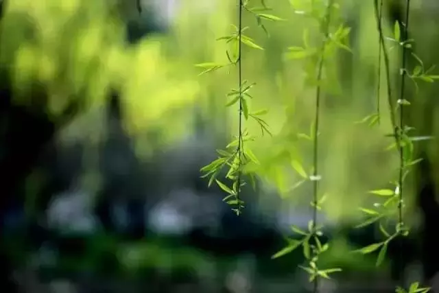 彎下腰,拾起你無價的尊嚴(深度好文)