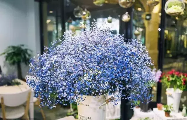 生命是一種輪迴,孝敬是一種福報