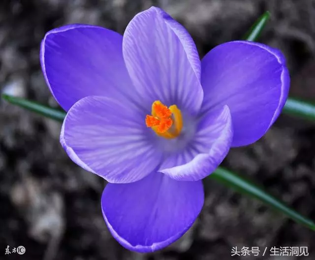 做一個成功的人,就要懂得人生這三境 - COCO01