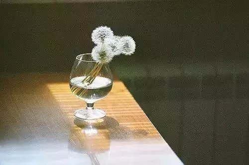 心累,除了堅持和偽裝,又能怎樣??
