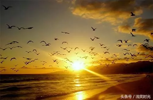 這段話很美,送給最好的自己,此文無價