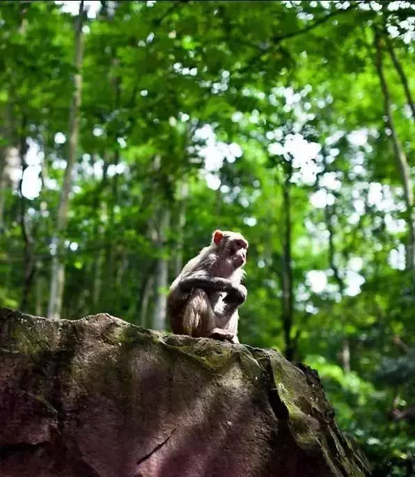 中國8大國家公園,熱愛旅行的人必去的地方!