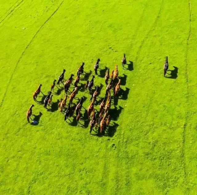 中國8大國家公園,熱愛旅行的人必去的地方!