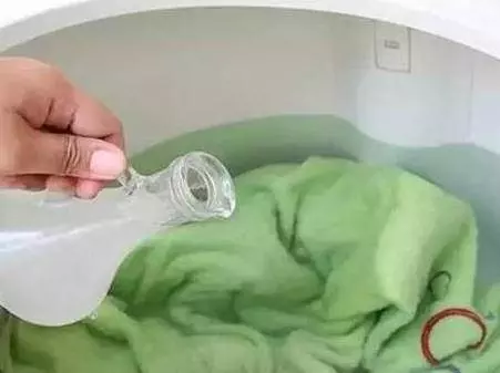 床墊枕頭用久了蟎蟲成窩?奶奶教我1個土辦法,3分鐘輕鬆殺光蟎蟲
