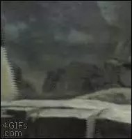 流浪小狗饑寒交迫倒在路邊瑟瑟發抖,不知從哪來的鵝將小狗抱住,行為讓路人暖心感動
