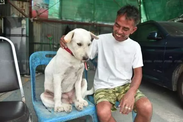 失蹤愛犬回到家中,泰國男子高興擺流水席任路人享用,鄰居:他是真正愛狗人