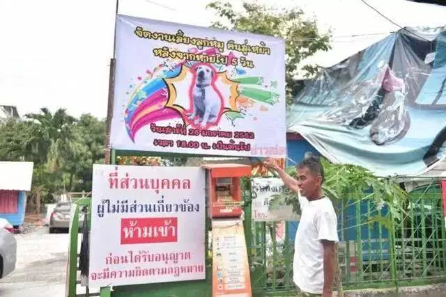 失蹤愛犬回到家中,泰國男子高興擺流水席任路人享用,鄰居:他是真正愛狗人