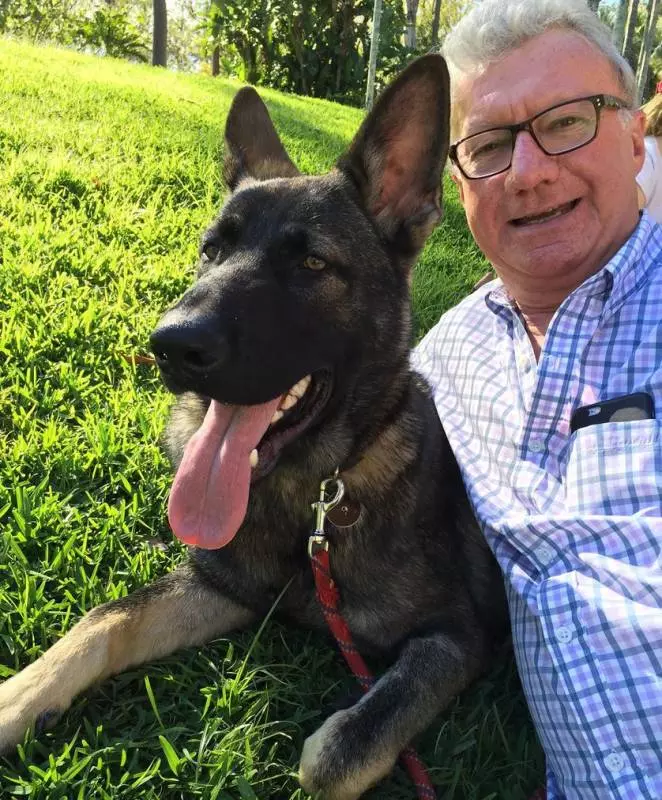 小警犬上課太愛打瞌睡,被「警校」開除,隔天狗狗往後日子越過越爽