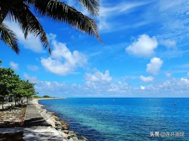 南沙彈丸礁已成馬來西亞搖錢樹,世界知名潛水聖地,來看看有多美
