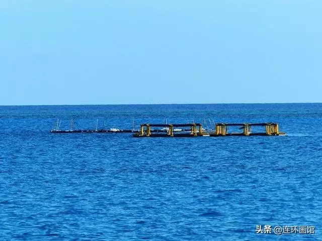 南沙彈丸礁已成馬來西亞搖錢樹,世界知名潛水聖地,來看看有多美