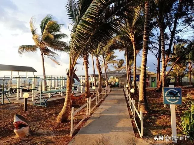 南沙彈丸礁已成馬來西亞搖錢樹,世界知名潛水聖地,來看看有多美