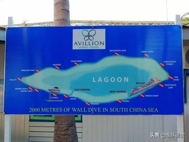 南沙彈丸礁已成馬來西亞搖錢樹,世界知名潛水聖地,來看看有多美