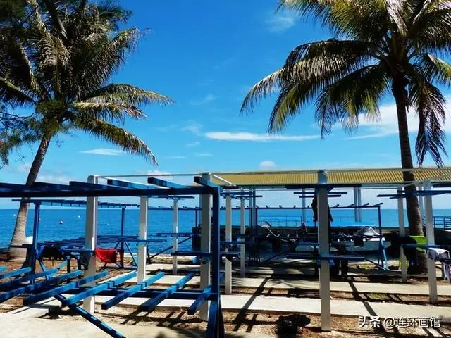 南沙彈丸礁已成馬來西亞搖錢樹,世界知名潛水聖地,來看看有多美