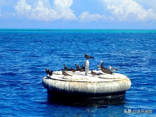 南沙彈丸礁已成馬來西亞搖錢樹,世界知名潛水聖地,來看看有多美