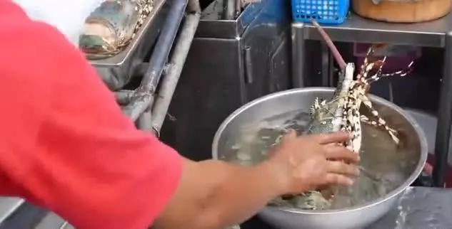 泰國街頭的這個「小吃」,一份售價200元,中國遊客卻說太值了