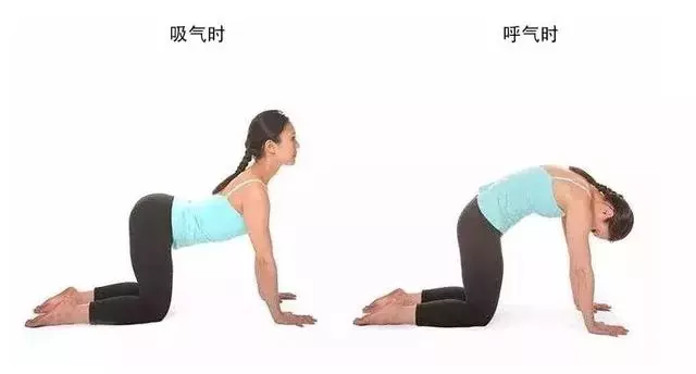 腰椎間盤突出不用慌,只要做到這一點,突出了也不腰疼!