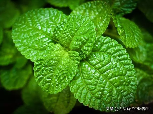 這一穴,可治療神經官能症、肝炎、月經不調等多種疾病