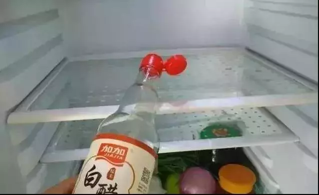 冰箱總是臭臭的有異味?只需放一個小東西,冰箱裡不結冰,異味沒有了,每個月還能省100元電費哦!