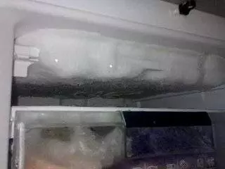 冰箱總是臭臭的有異味?只需放一個小東西,冰箱裡不結冰,異味沒有了,每個月還能省100元電費哦!