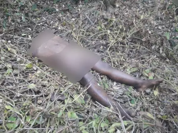 3歲女童遭野豹攻擊 母親無奈眼睜看女兒被叼走 發現時僅剩軀幹及雙腿
