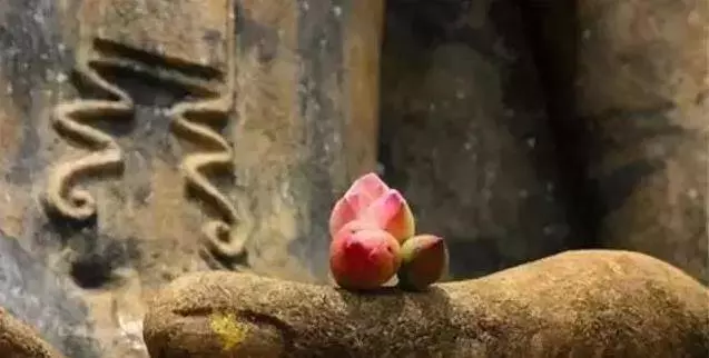 必是註定的人,才來與你相遇